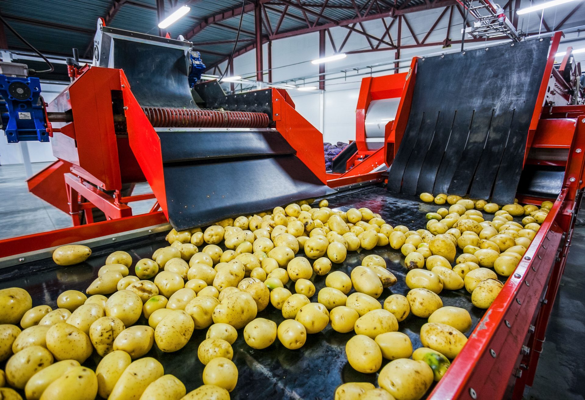 Реализация и производство отечественной продукции
