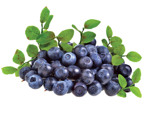 Сертификат на чернику