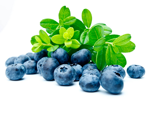 Сертификат на голубику