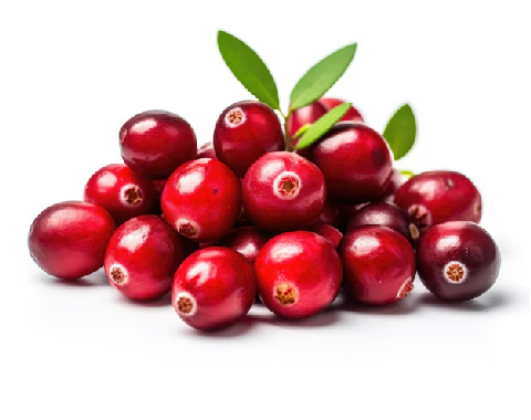 Сертификат на клюкву